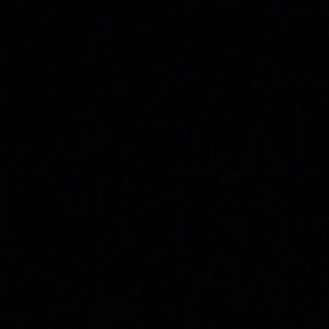 Meet your Posher, Ted